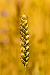 Similar image 8366363