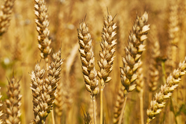 Similar image 8366364