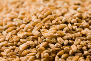 Similar image 8366384