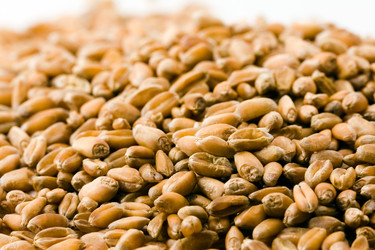 Similar image 8366385