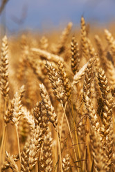 Similar image 8366388