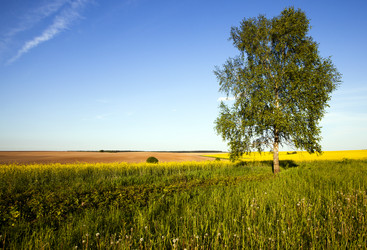 Similar image 8366392