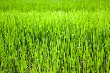 Similar image 8366421