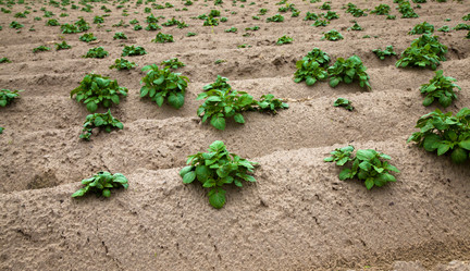 Similar image 8366422