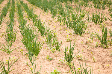 Similar image 8366425