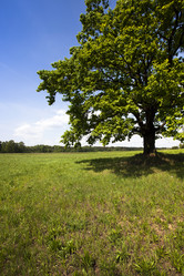 Similar image 8366444