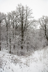 Similar image 8366453