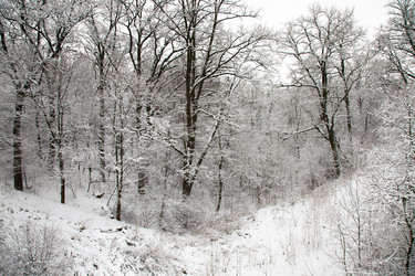 Similar image 8366456