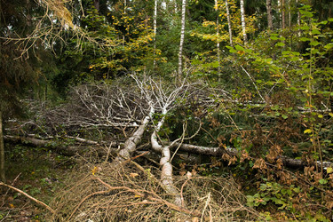 Similar image 8366464