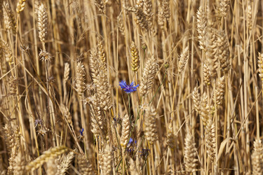 Similar image 8366468