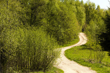 Similar image 8366474