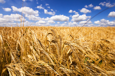 Similar image 8366475