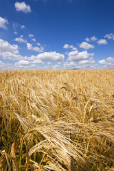 Similar image 8366476