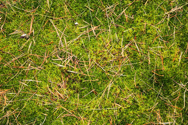 Similar image 8366501