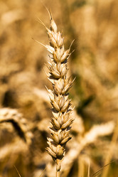 Similar image 8366530