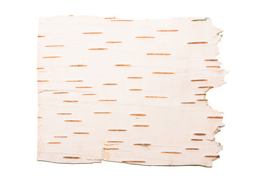 Similar image 8366536