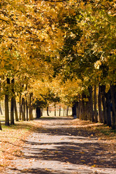 Similar image 8366550