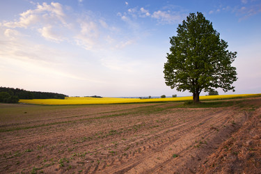 Similar image 8366580