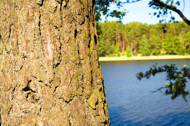 Similar image 8366582