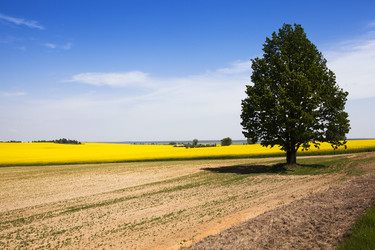 Similar image 8366601