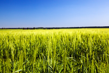 Similar image 8366602