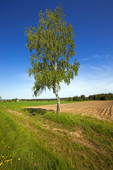 Similar image 8366611