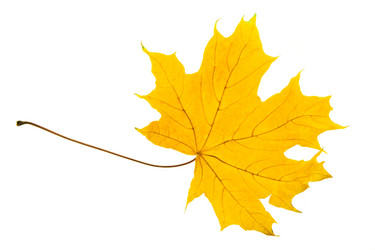 Similar image 8366614