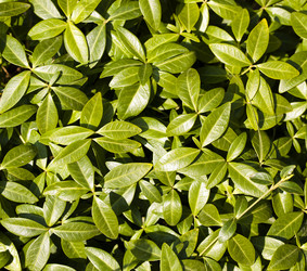 Similar image 8366620