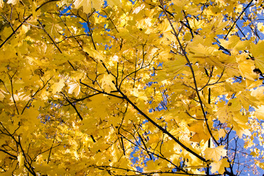 Similar image 8366627