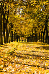 Similar image 8366632