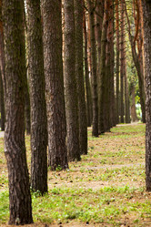 Similar image 8366647