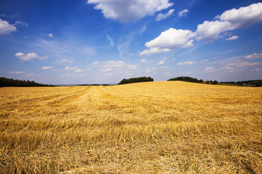 Similar image 8366662