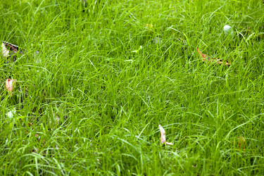 Similar image 8366668