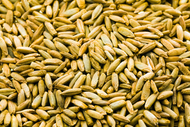 Similar image 8366670