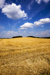 Similar image 8366678