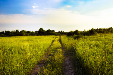 Similar image 8366691