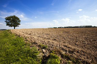 Similar image 8366692