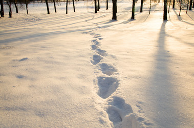 Similar image 8366719