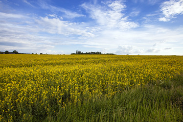 Similar image 8366744