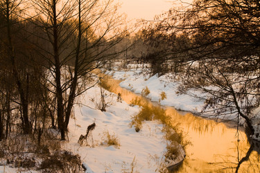 Similar image 8366756