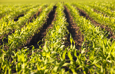 Similar image 8366773