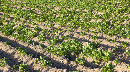 Similar image 8366776