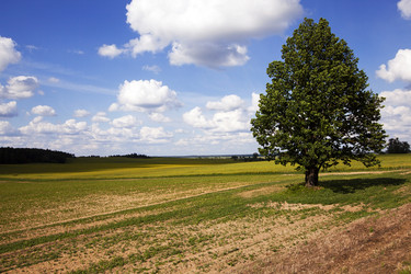 Similar image 8366846