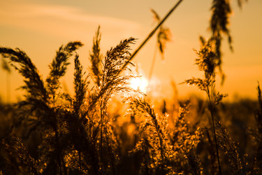 Similar image 8366897