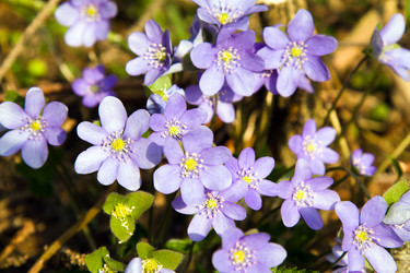 Similar image 8366902