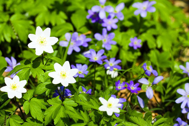 Similar image 8366906