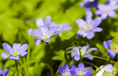 Similar image 8366915