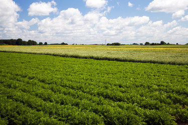 Similar image 8366922