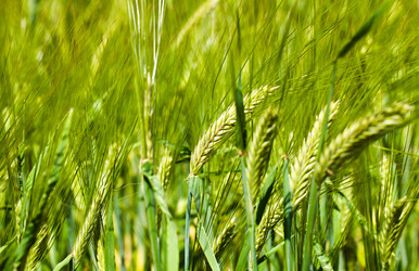 Similar image 8366934