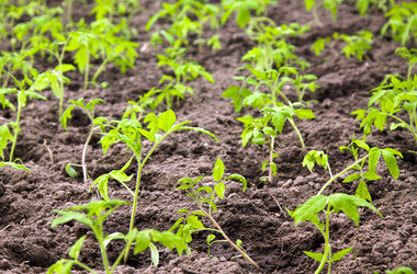 Similar image 8366936